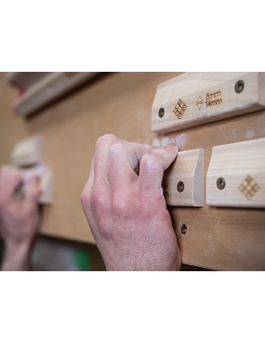 Lattice Micros - Kleinste Trainingsleisten