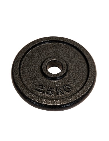 Hantelscheiben - Gusseisen - 31mm Bohrung