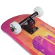 Contract 5 Complete Skateboard Tiger-1