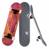 Contract 5 Komplett Skateboard Tiger-1