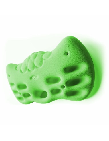 HOLDZ Fingerboard 1