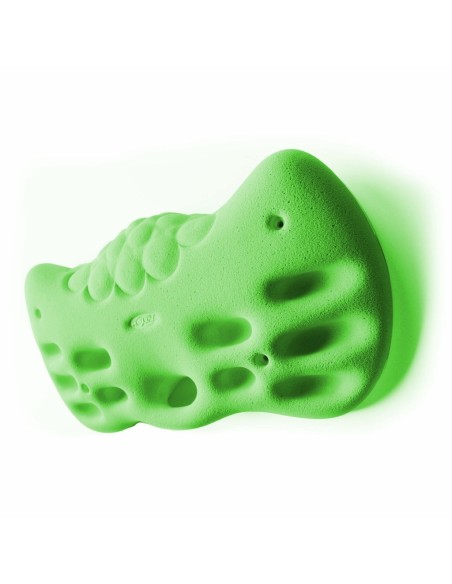 HOLDZ Fingerboard 1