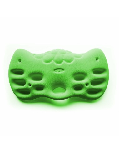 HOLDZ Fingerboard 1